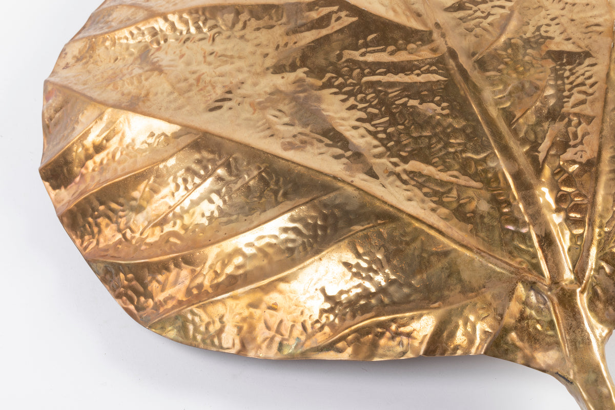 Tommaso Barbi – Paire d'appliques « Feuilles de rhubarbe » – vue 3
