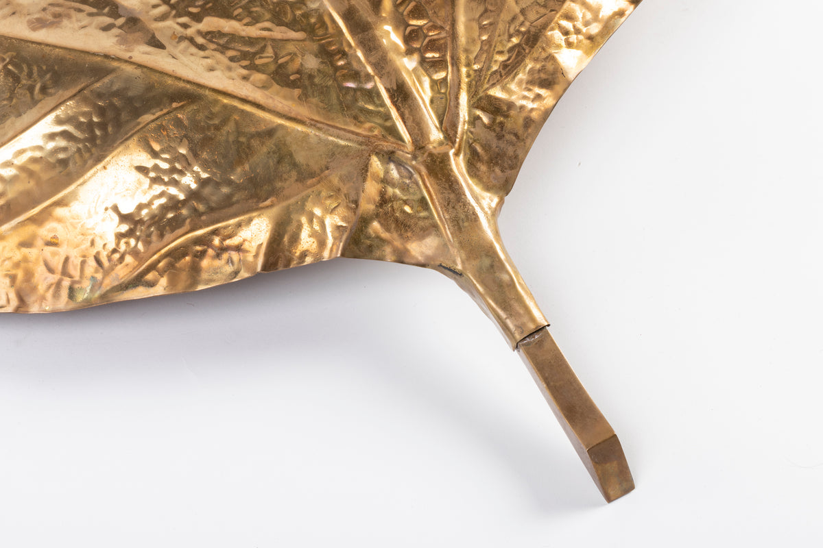 Tommaso Barbi – Paire d'appliques « Feuilles de rhubarbe » – vue 4