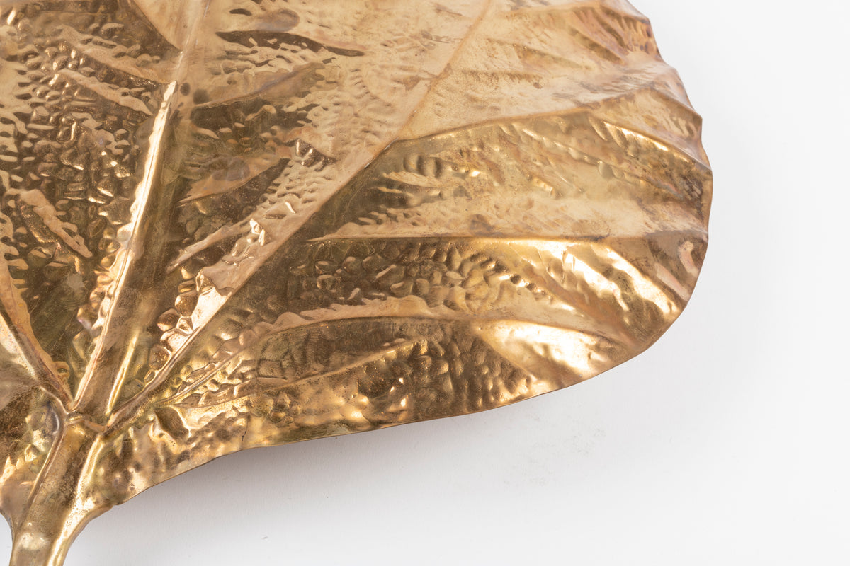 Tommaso Barbi – Paire d'appliques « Feuilles de rhubarbe » – vue 5