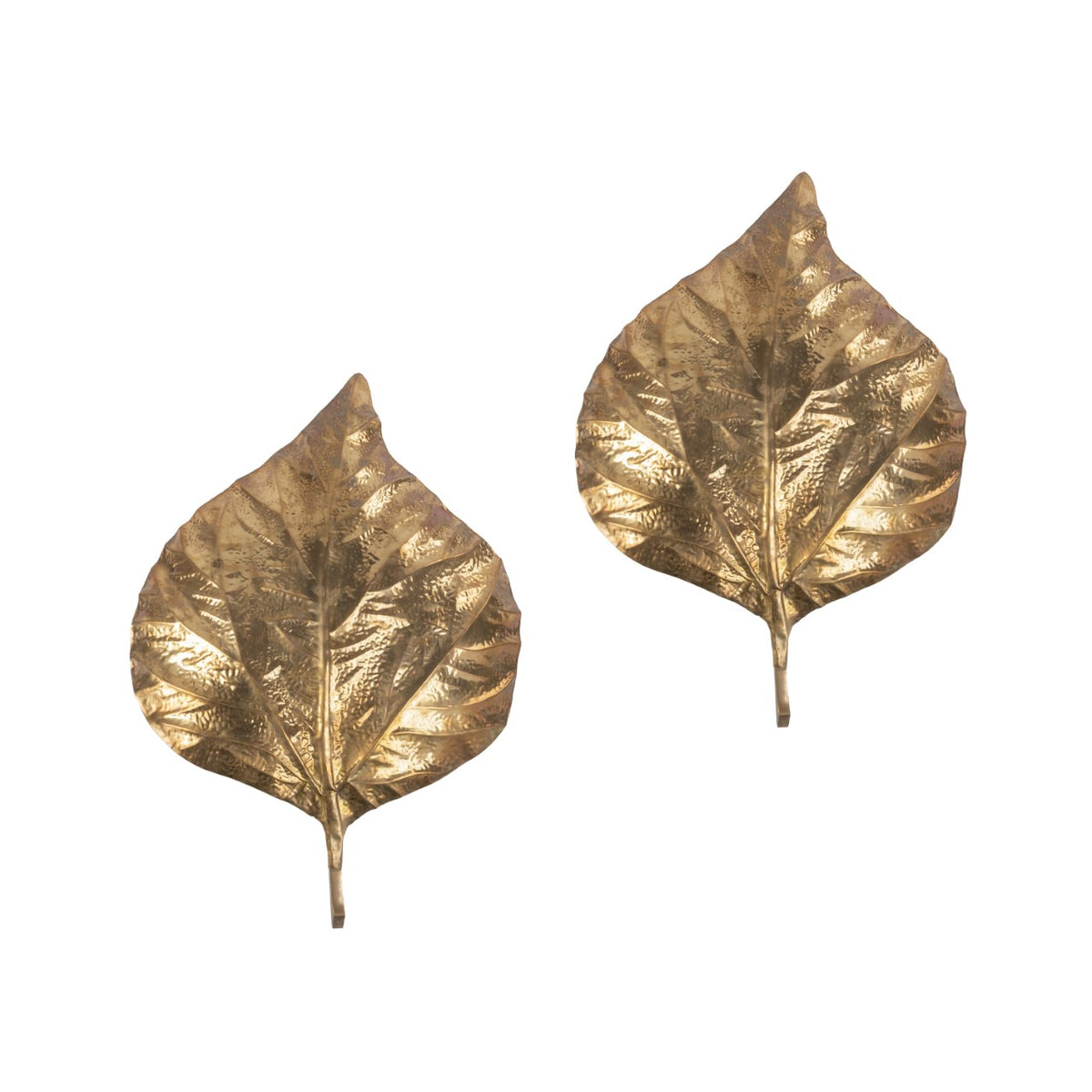 Tommaso Barbi – Paire d'appliques « Feuilles de rhubarbe » – vue 2