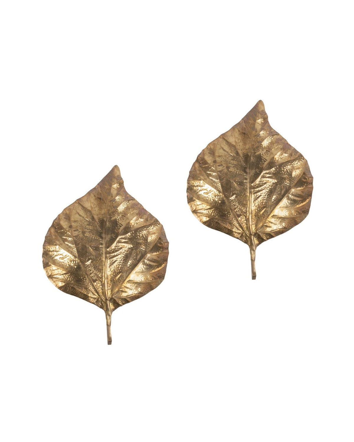 Tommaso Barbi – Paire d'appliques « Feuilles de rhubarbe » – vue d'ensemble
